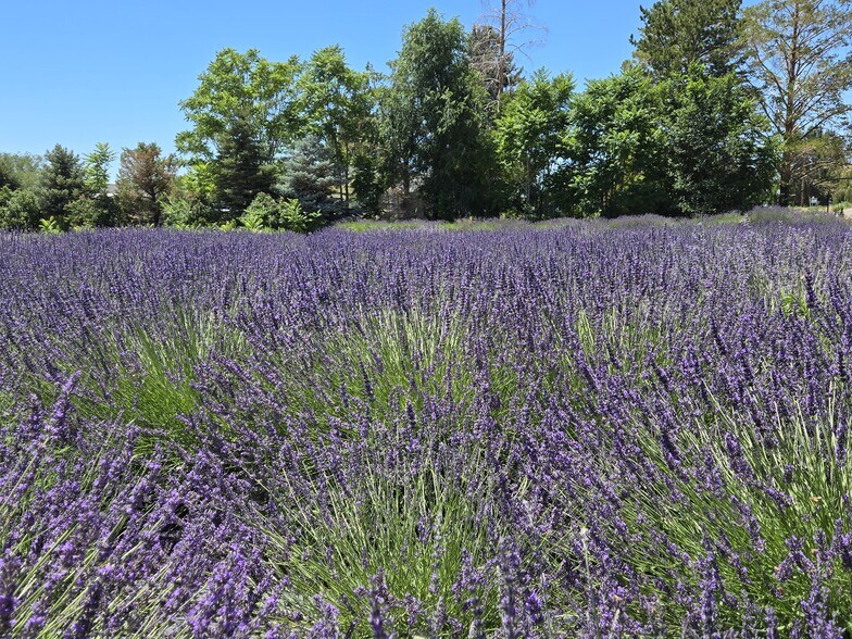 More Photos Of 3669 G Rd, Palisade Freestanding For Sale