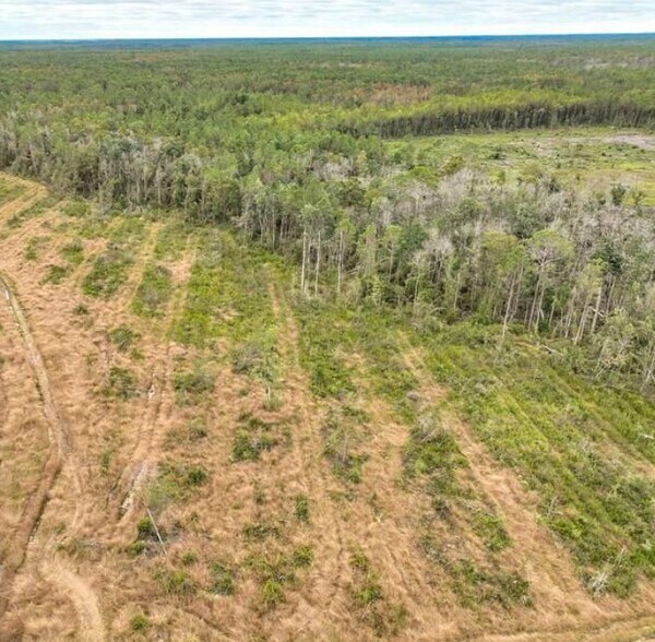 More Photos Of County Road 133, Willacoochee Land For Sale