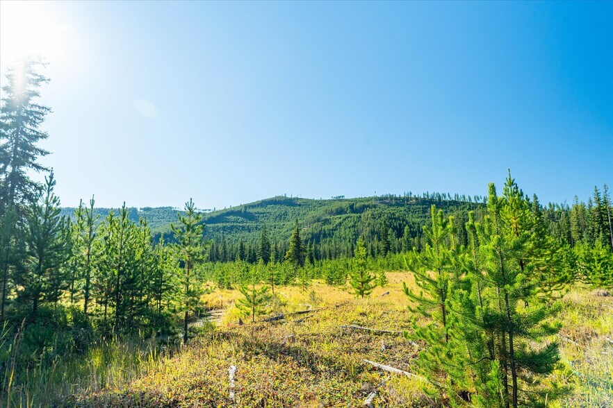 More Photos Of Nhn Logan Creek Road, Kila Land For Sale