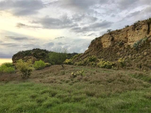 More Photos Of 79 acres, Laredo Land For Sale