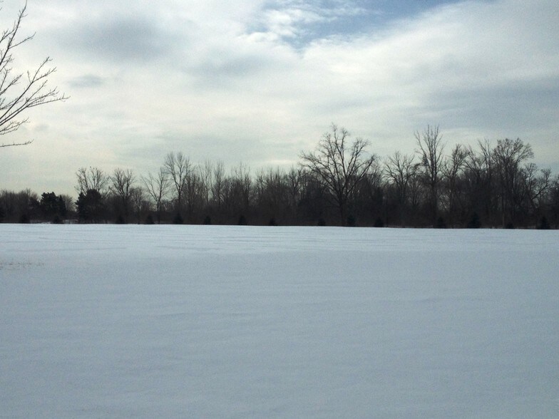 More Photos Of 18400 Hall Rd, Clinton Township Land For Sale