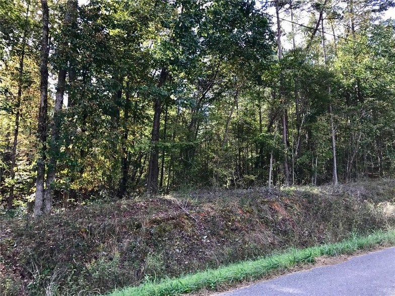 Primary Photo Of Rockfence Rd, Adairsville Land For Sale