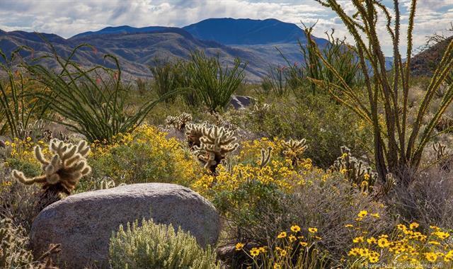 More Photos Of 0 Palm Canyon Dr, Borrego Springs Land For Lease