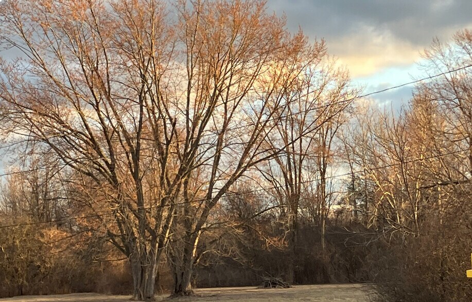 More Photos Of 4342 E Court St, Burton Land For Sale