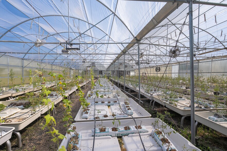 More Photos Of 6529 Asher Rd, Alvarado Specialty For Sale