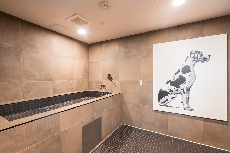 More Photos Of 3560 Rambla Pl, Santa Clara Apartments For Lease