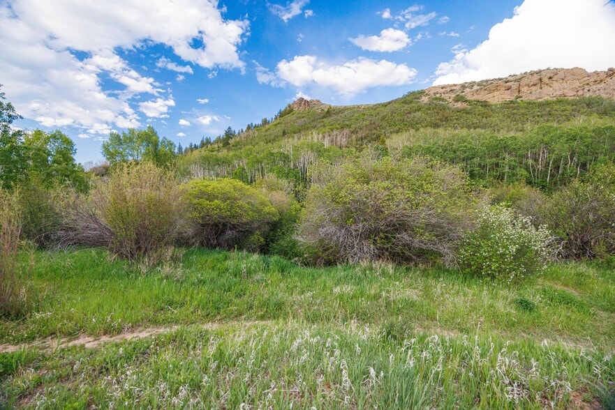 More Photos Of 22090 Co 212 rd, Oak Creek Land For Sale