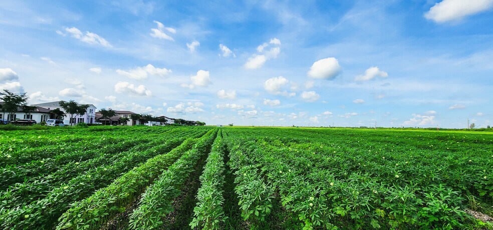 More Photos Of Krome Ave & SW 172nd ave, Miami Land For Lease