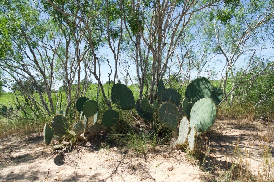 More Photos Of 00 Taylorsville Rd, Red Rock Land For Sale