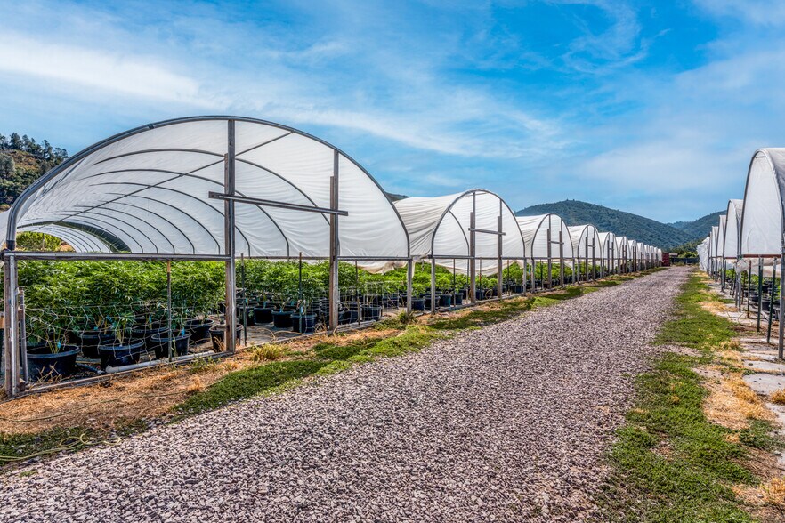 More Photos Of 2000 Clover Valley Rd, Upper Lake Land For Sale