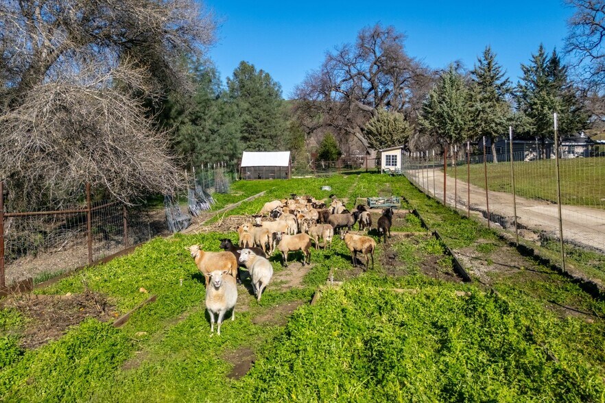 More Photos Of 535 Calf Canyon Hwy, Creston Winery Vineyard For Sale