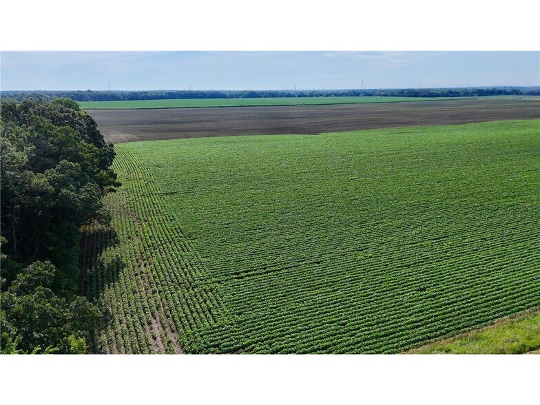 More Photos Of TBD County Road 7, Saint Augusta Land For Sale