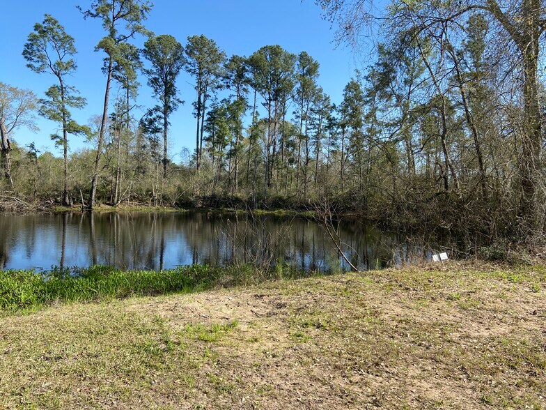 More Photos Of 24030 Hegar Rd, Hockley Land For Sale