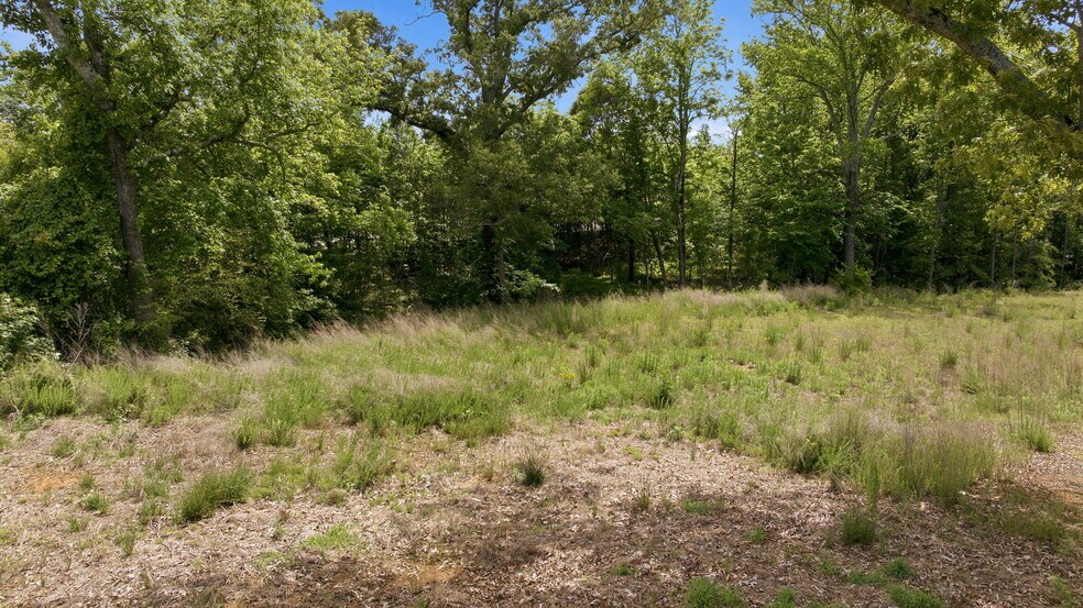 More Photos Of 1661 Friendship Rd, Hoschton Land For Sale
