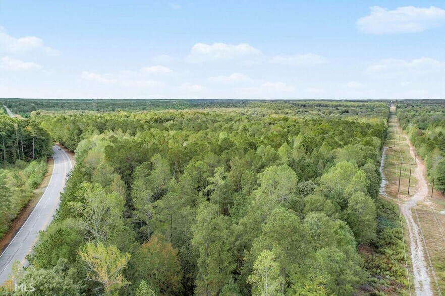 More Photos Of GA Hwy 85 S, Senoia Land For Sale