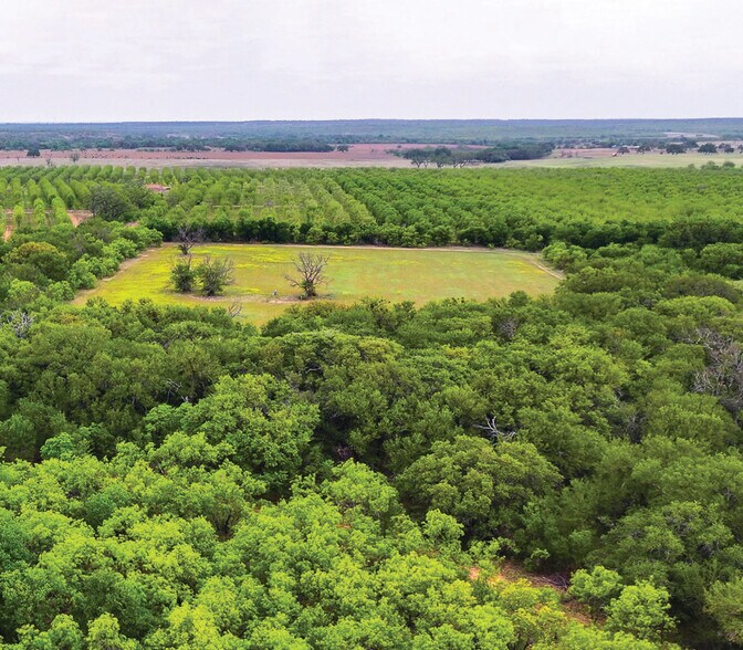 More Photos Of 450 County Road 417, Goldthwaite Land For Sale