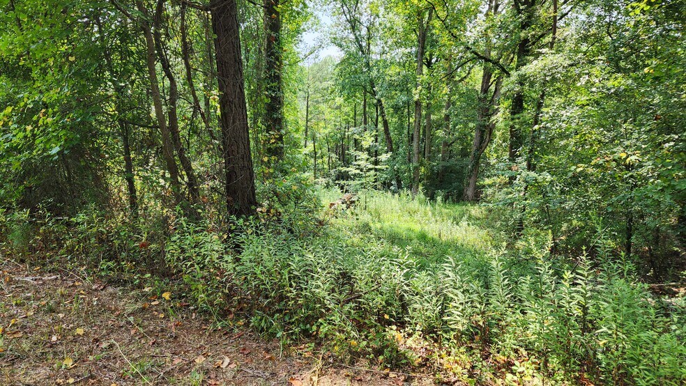 More Photos Of 1661 Friendship Rd, Hoschton Land For Sale