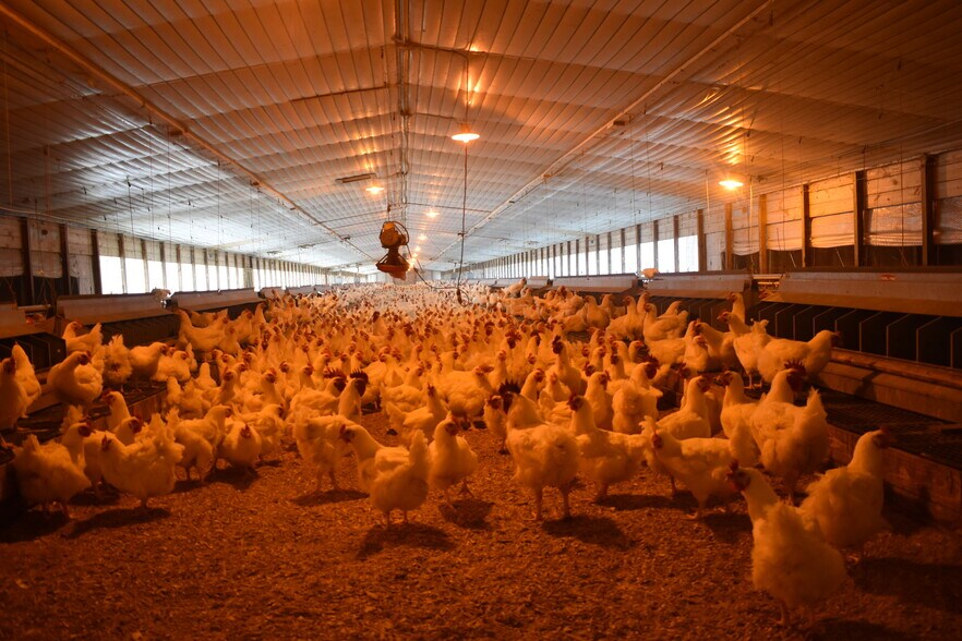 More Photos Of 441 Weaver Rd, Moultrie Land For Sale