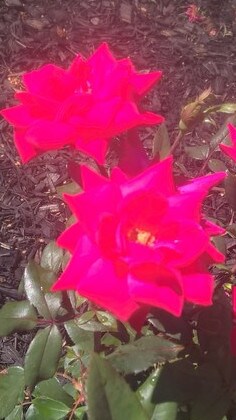 More Photos Of 6101 Melrose Ln, Oklahoma City Coworking Space