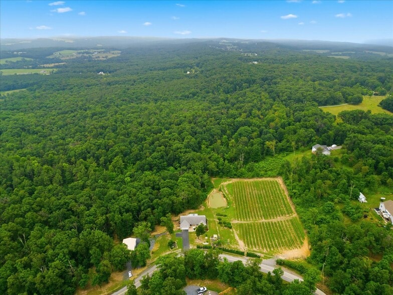 More Photos Of 1309 Redland Rd, Cross Junction Winery Vineyard For Sale