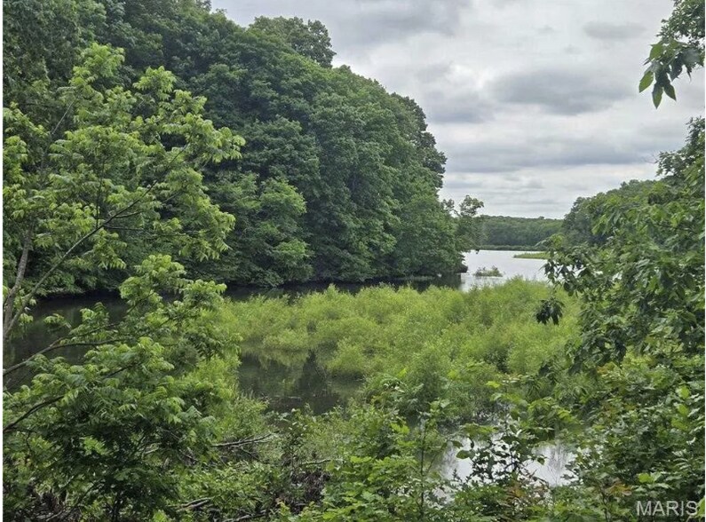 More Photos Of 6959 W Fellin Drive, Mount, Mount Olive Land For Sale