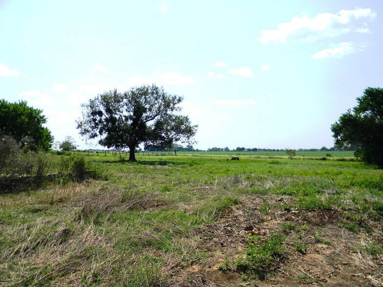 More Photos Of 17845 Fm 362 Rd, Waller Land For Sale