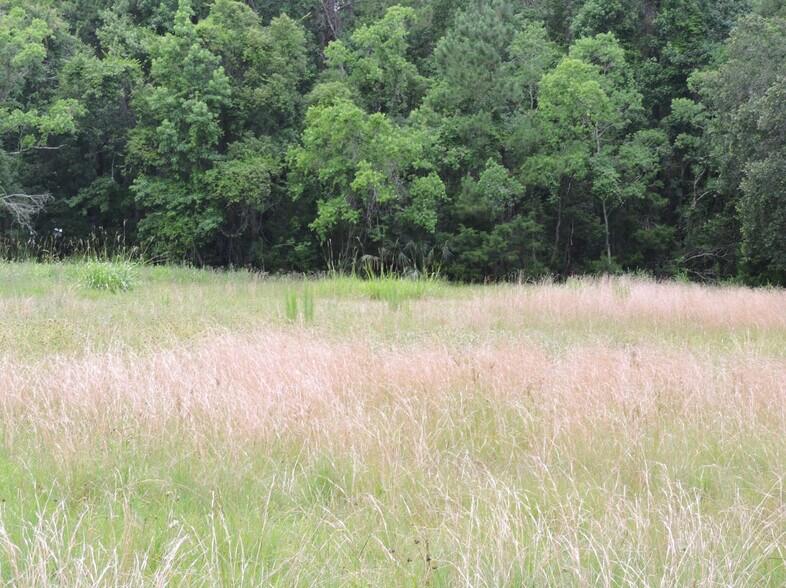 More Photos Of 100 El Dorado, Green Cove Springs Land For Sale