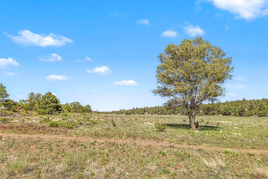 More Photos Of 5255 E Cortland Blvd, Flagstaff Land For Sale