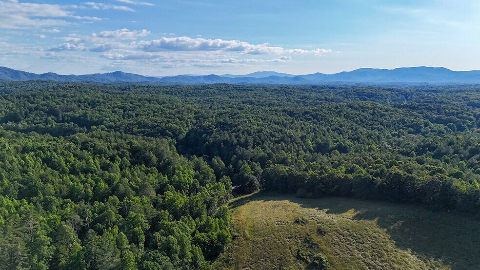More Photos Of 11061 NC-294 Hwy, Murphy Land For Sale