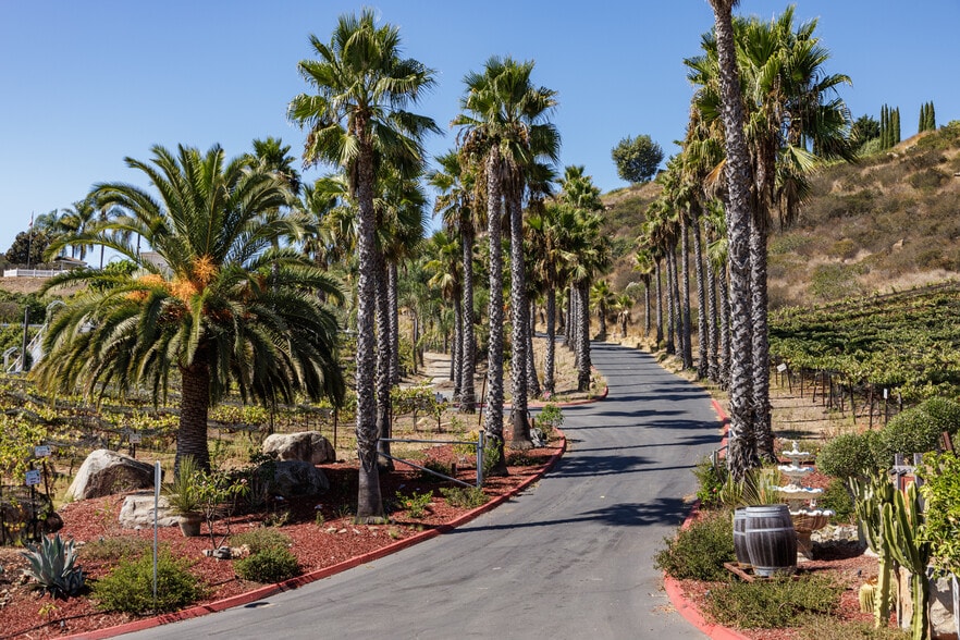 More Photos Of 2286 Sunshine Mountain Rd, San Marcos Winery Vineyard For Sale
