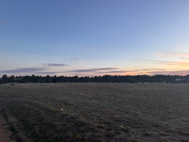 More Photos Of 2216 Mogollon Rim Dr, Overgaard Land For Sale