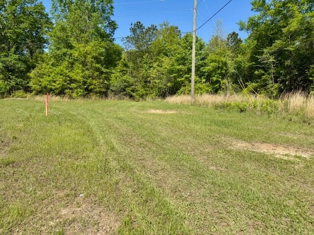 More Photos Of 000 Tanglewood Trail, Georgetown Land For Sale