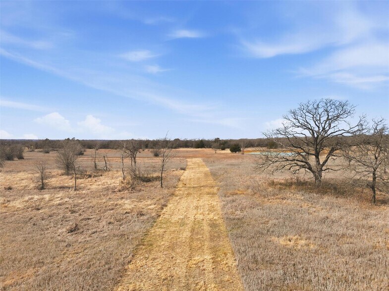 More Photos Of 965 County Road 404, Alvarado Land For Sale