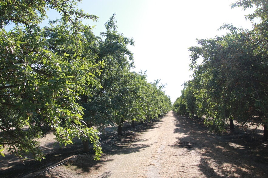 More Photos Of 18045 Magnolia Ave, Shafter Land For Sale