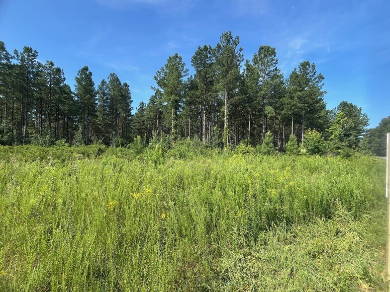 Primary Photo Of 001 Johnson Rd, Mineral Land For Sale