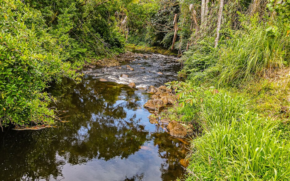 More Photos Of 27-2760 Hawaii Belt Rd, Pepeekeo Land For Sale
