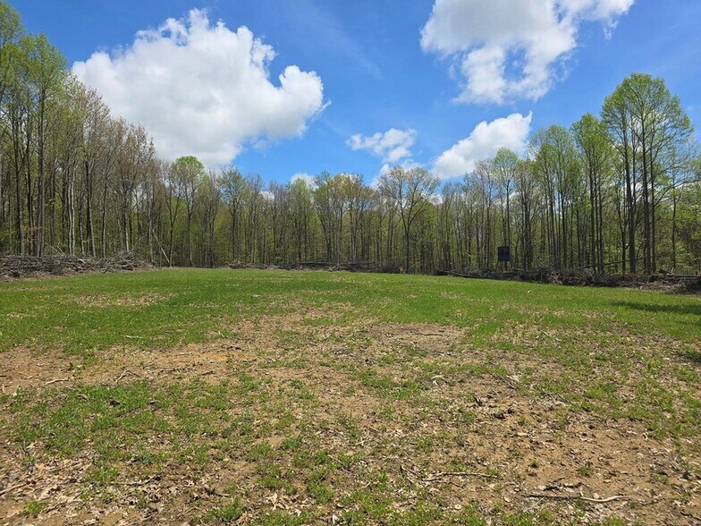 More Photos Of 0 Lower Mudlic rd, Mayport Land For Sale