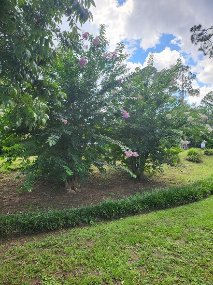 More Photos Of 1305 Dawson Rd, Albany Storefront Retail Office For Sale