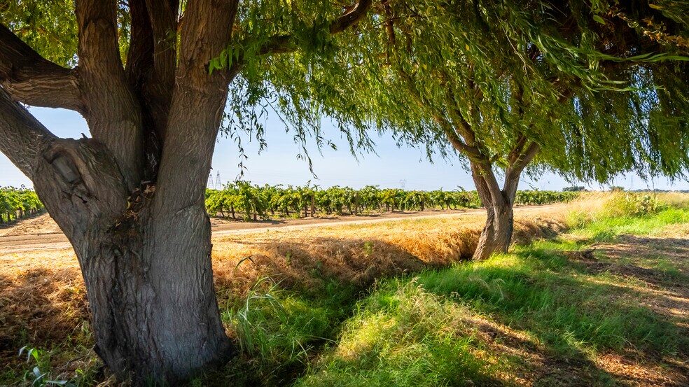 More Photos Of TFC Ranch, Lodi Land For Sale