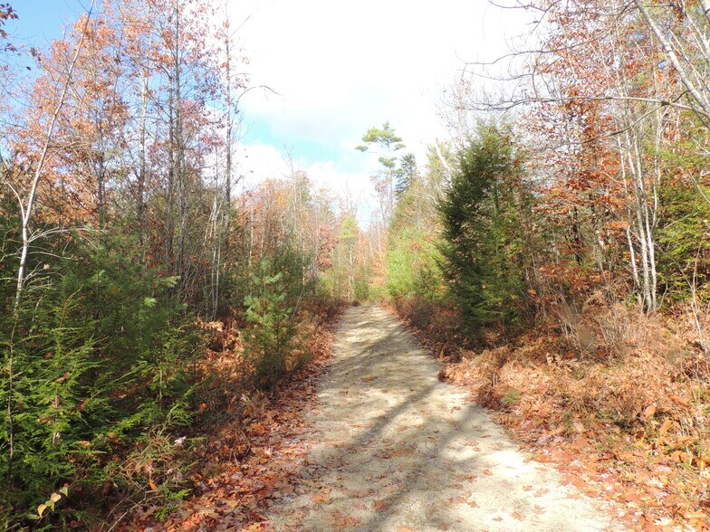 More Photos Of 140 Chickville Rd, Ossipee Land For Sale