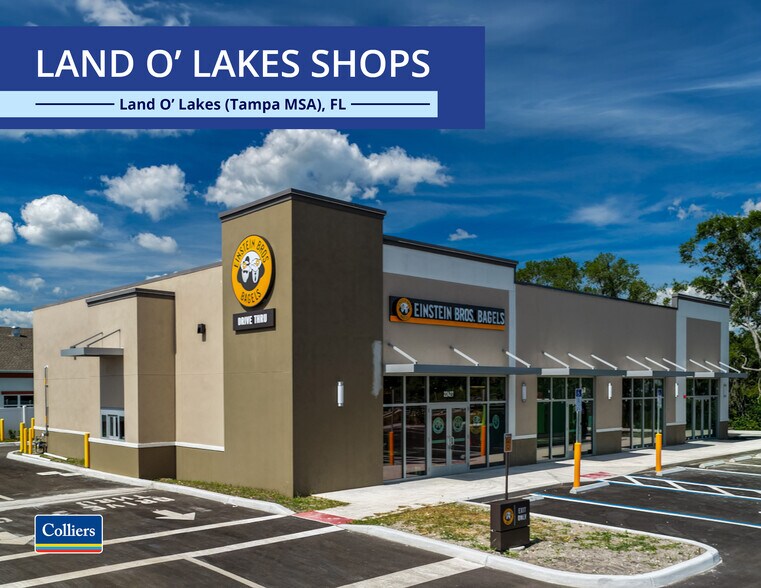 Primary Photo Of 22427-22441 SR 54, Land O' Lakes Storefront For Sale