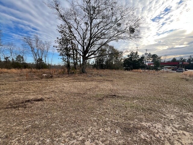 More Photos Of 52000 Block US-31 Hwy, Perdido Land For Sale