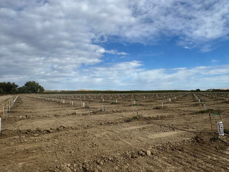 More Photos Of 28815 County Road 12A, Esparto Land For Sale