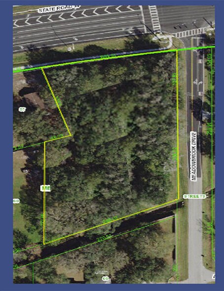 Primary Photo Of SWC S R 54 & Meadowbrook Dr, Lutz Land For Lease