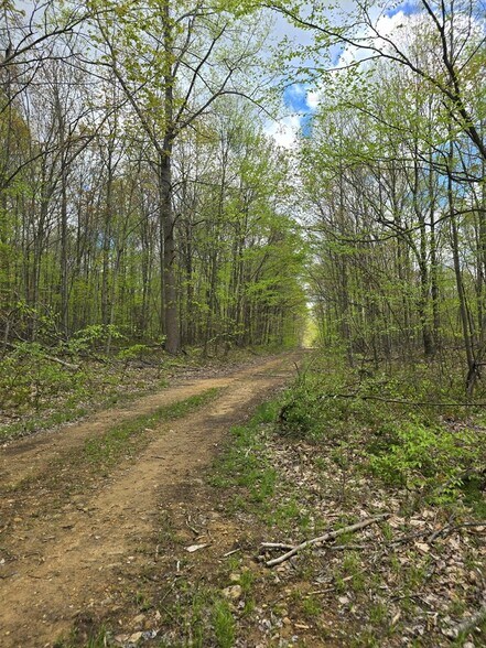 More Photos Of 0 Lower Mudlic rd, Mayport Land For Sale
