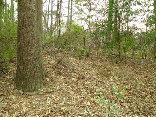 More Photos Of 1561-1565 Moreland Ave, Atlanta Land For Sale