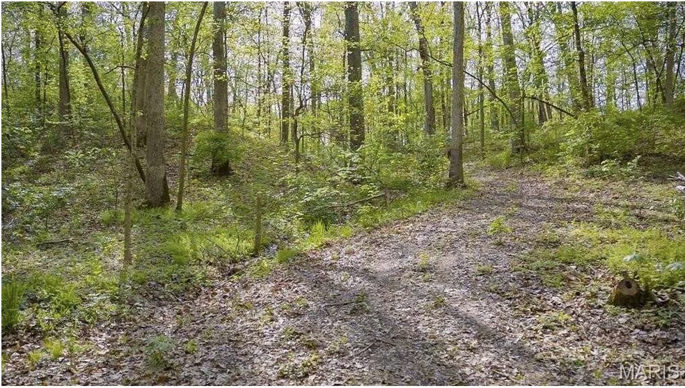 More Photos Of 6959 W Fellin Drive, Mount, Mount Olive Land For Sale