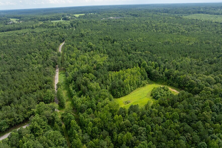 More Photos Of Dogwood Lane Ln @ K-V Road, Kenbridge Land For Sale