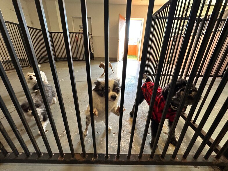 More Photos Of 6188 S Sandhill Rd, Las Vegas Veterinarian Kennel For Sale