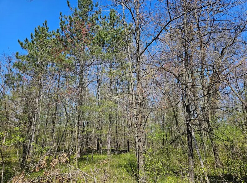 More Photos Of 2935 S Wisconsin Ave, Rice Lake Land For Sale